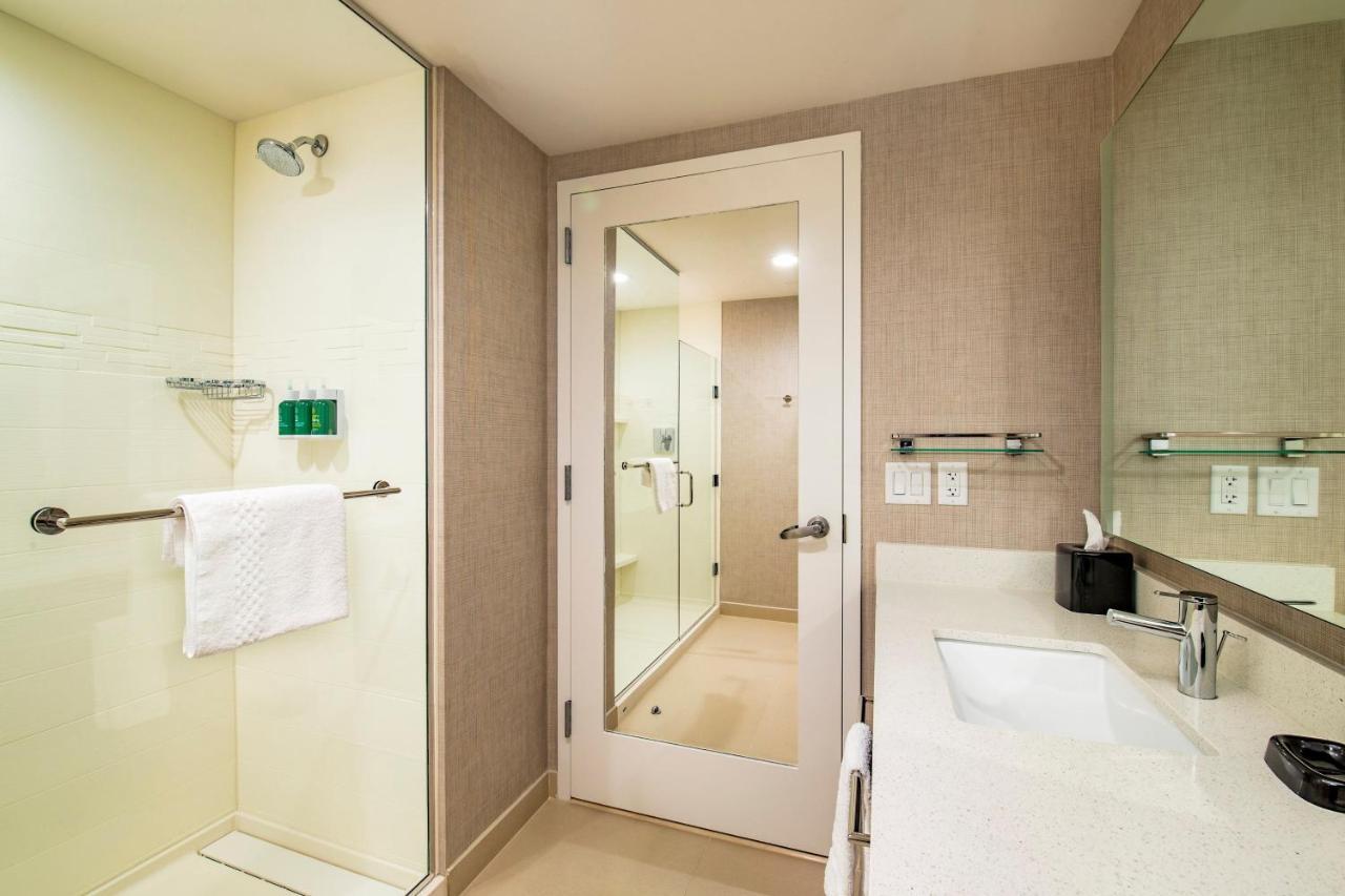 1 Bedroom Suite, 1 King, Sofa bed, City view