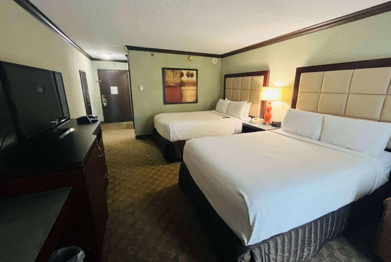 Double Room Two Double Beds Non-Smoking