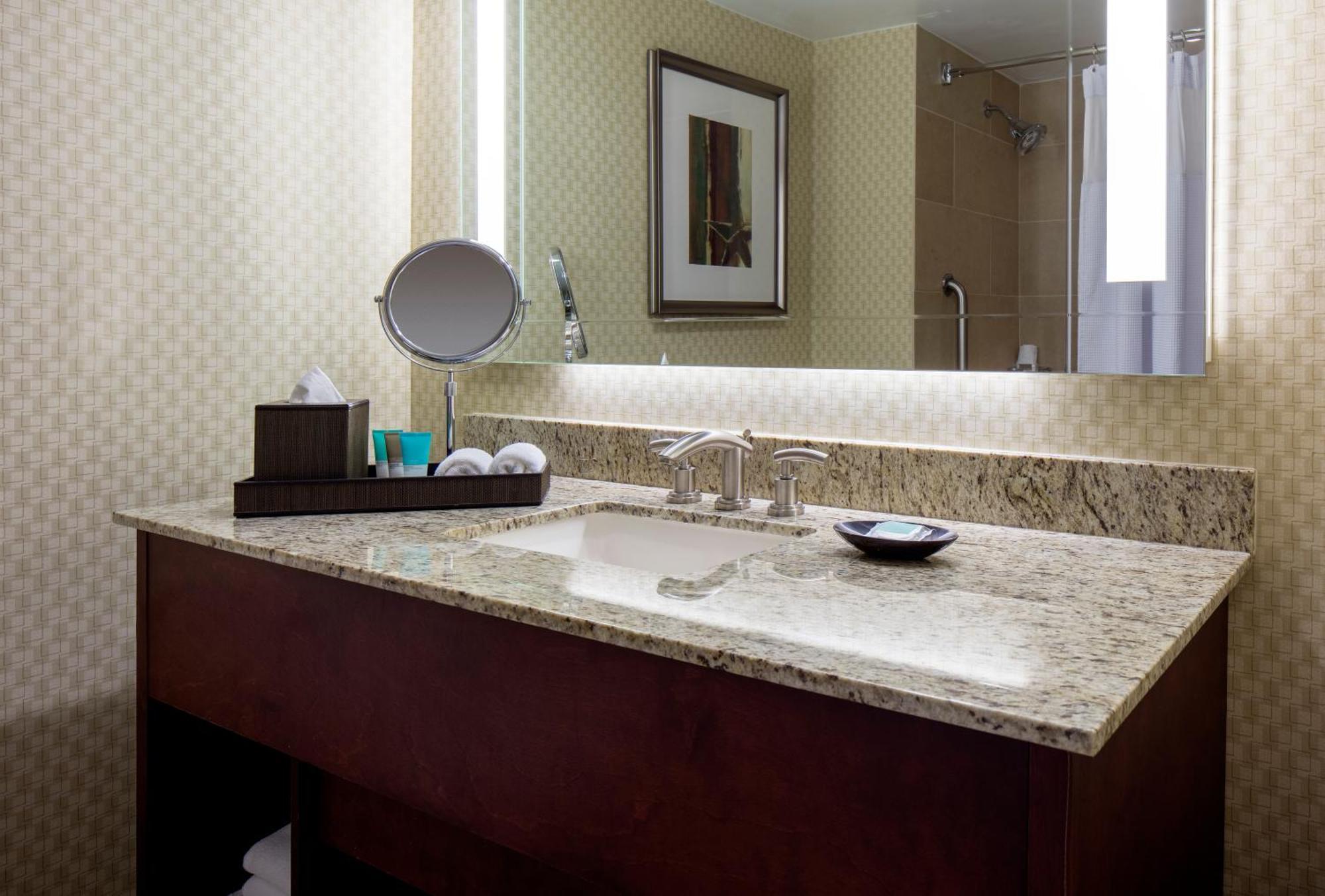 King Room Accessible Tub Disability Access