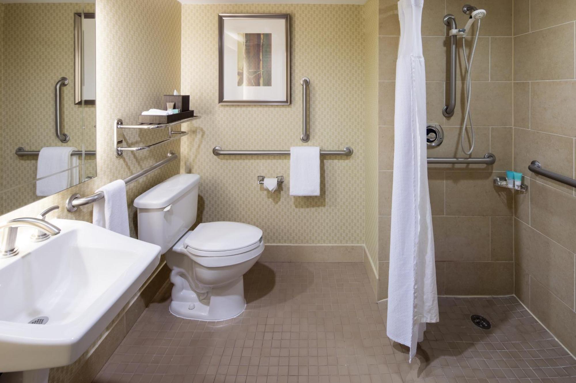 King Room Accessible Tub Disability Access