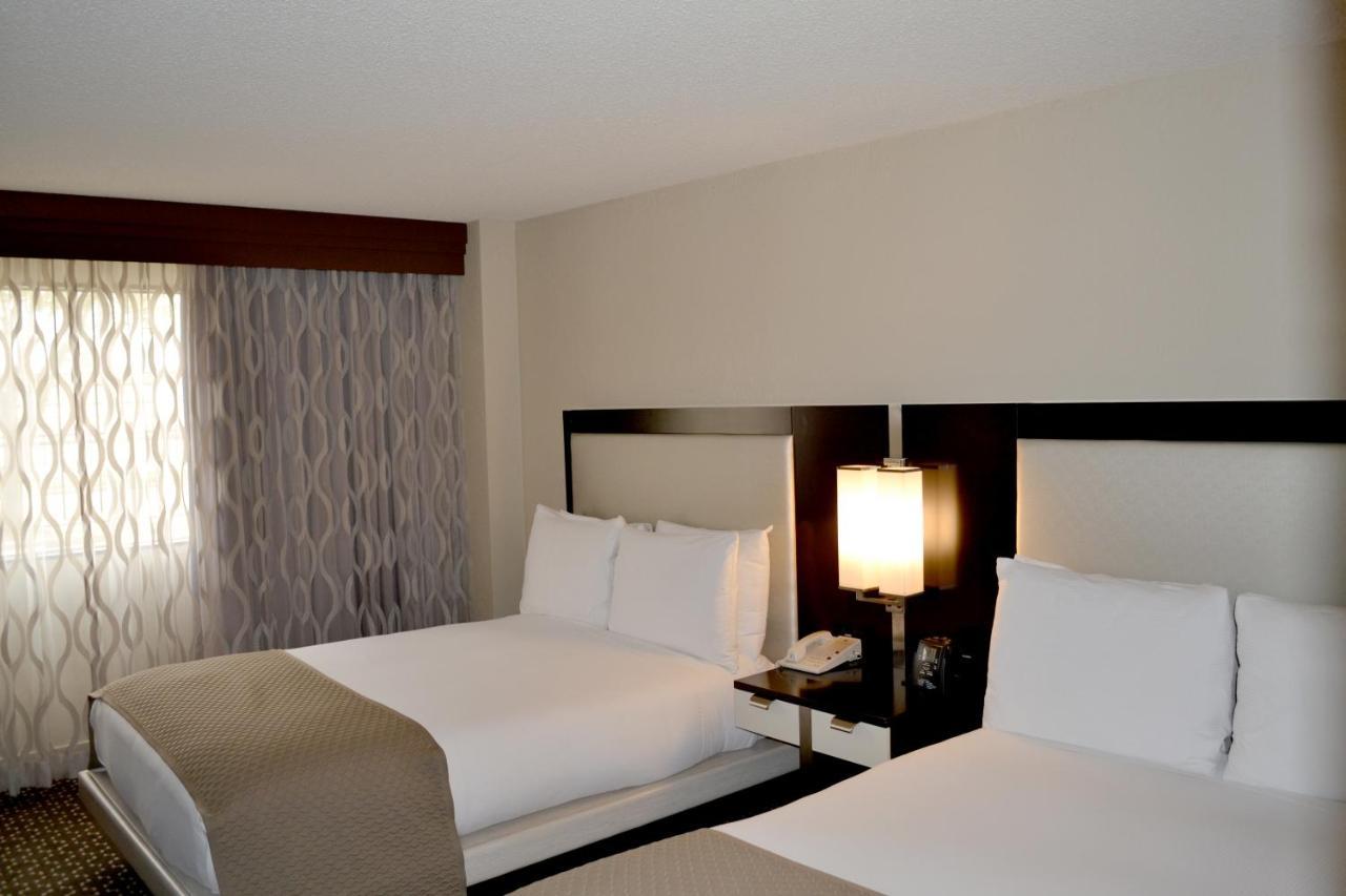Junior Queen Suite