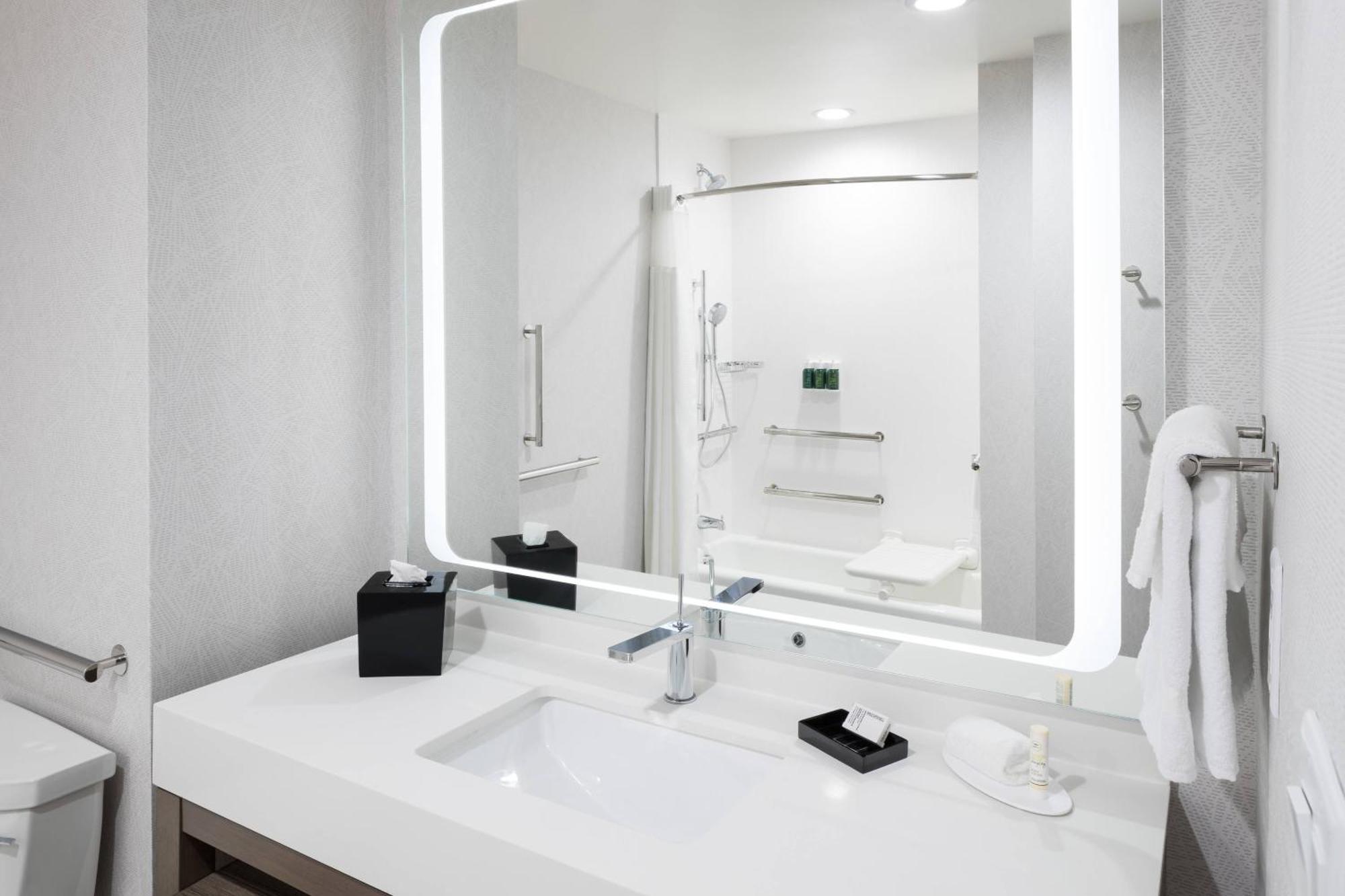 King Suite Bathtub Sofa Bed Mobility Access