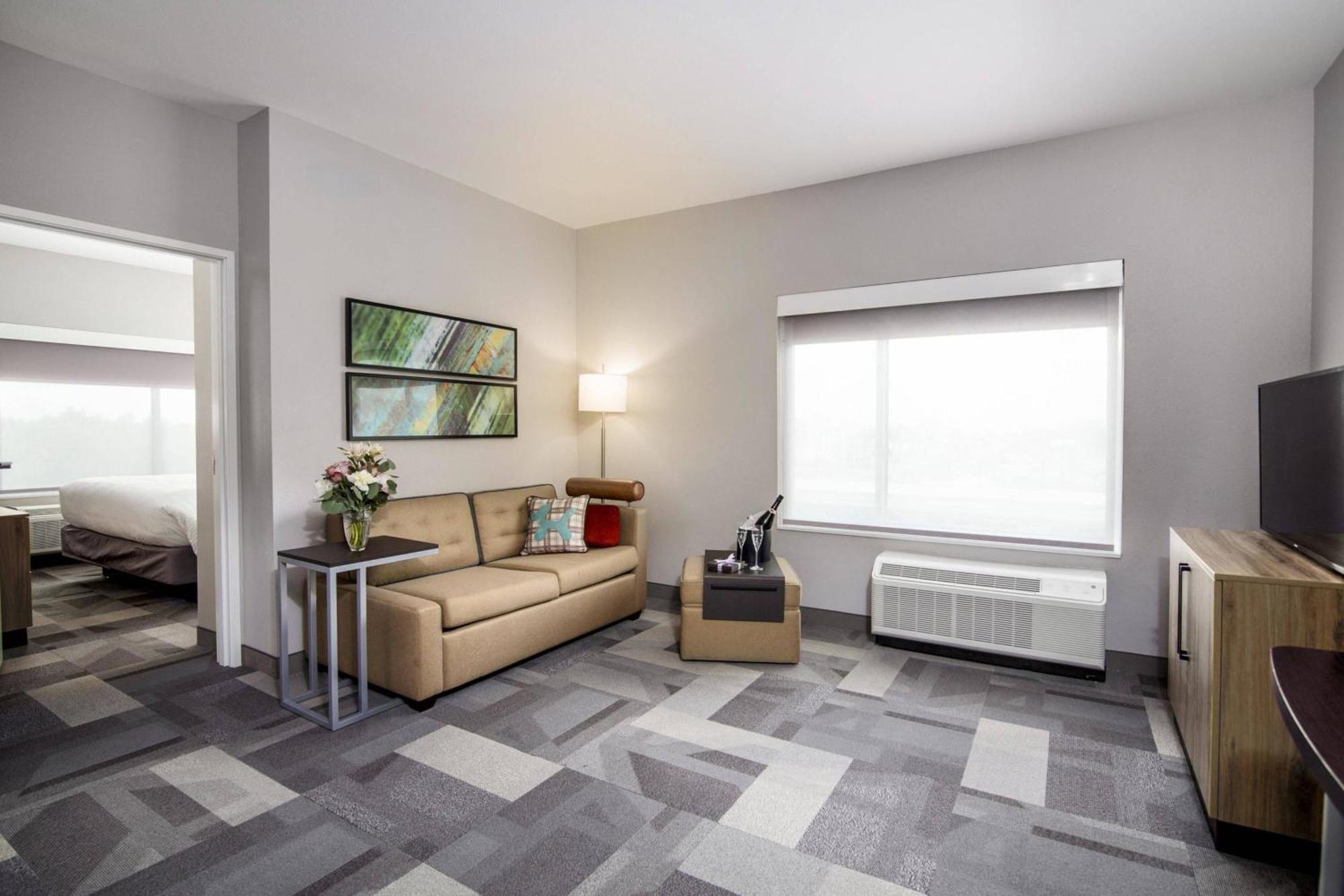 1 Bedroom Suite 1 King Sofa bed