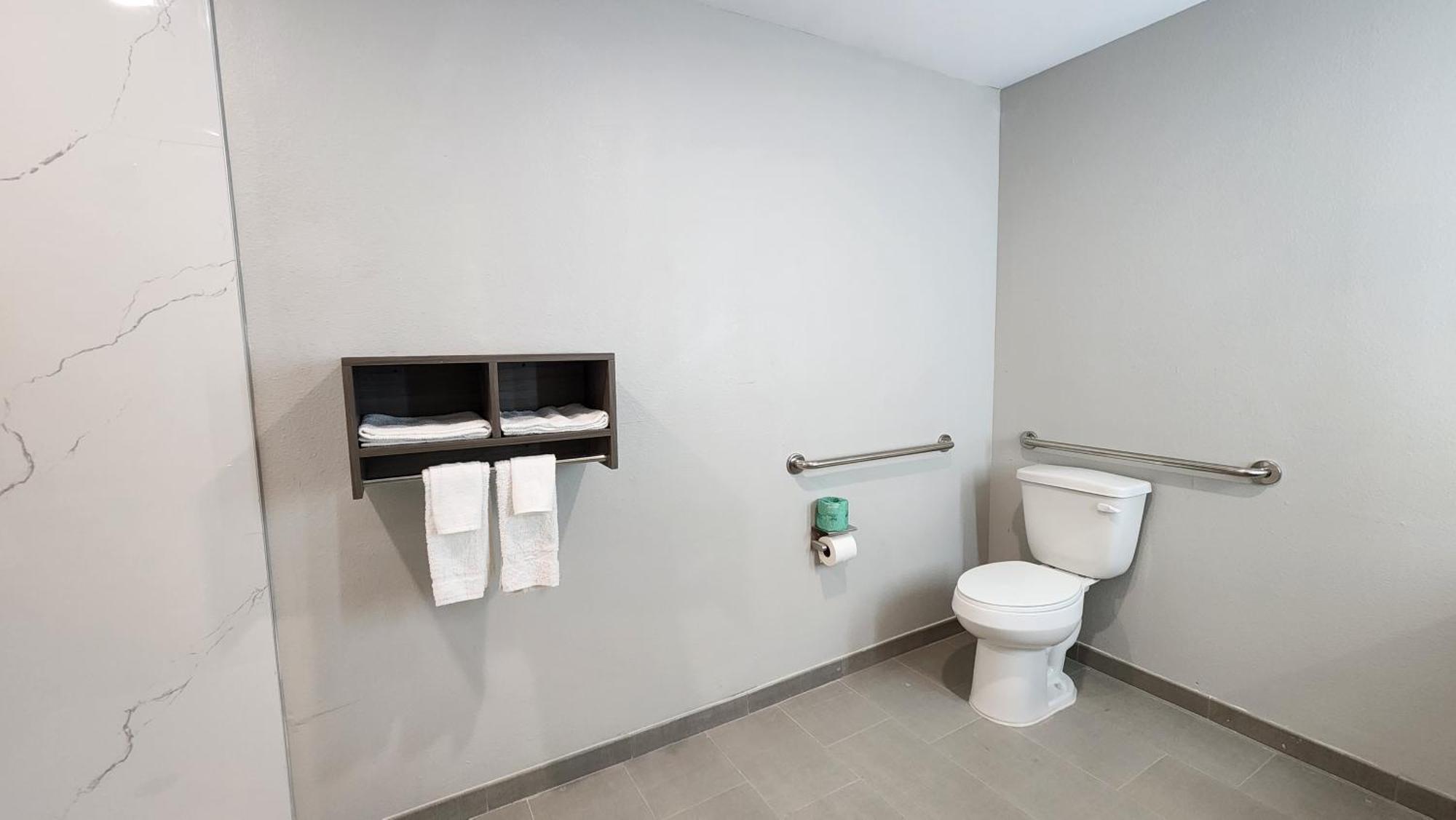 King Room Roll Shower Disability Access