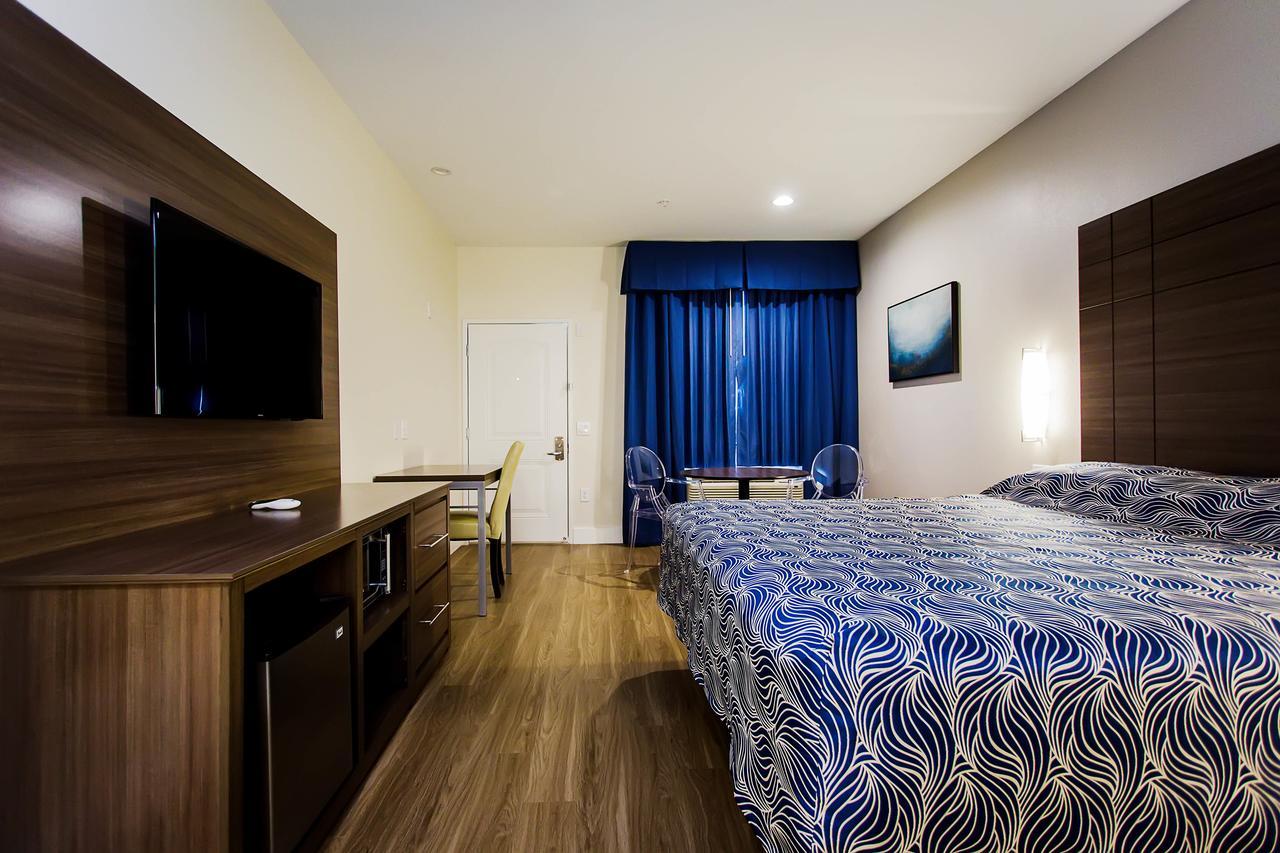 Superior King Room,609138328:JPEG