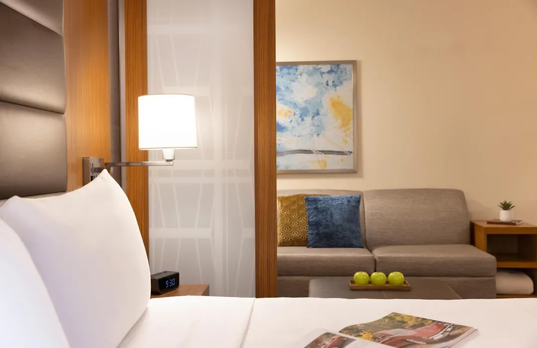 Hyatt Place Houston Downtown-1