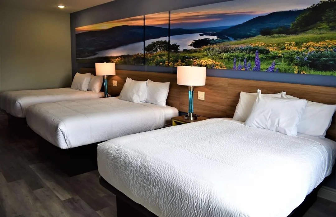 Days Inn & Suites By Wyndham Downtown/University Of Houston-1