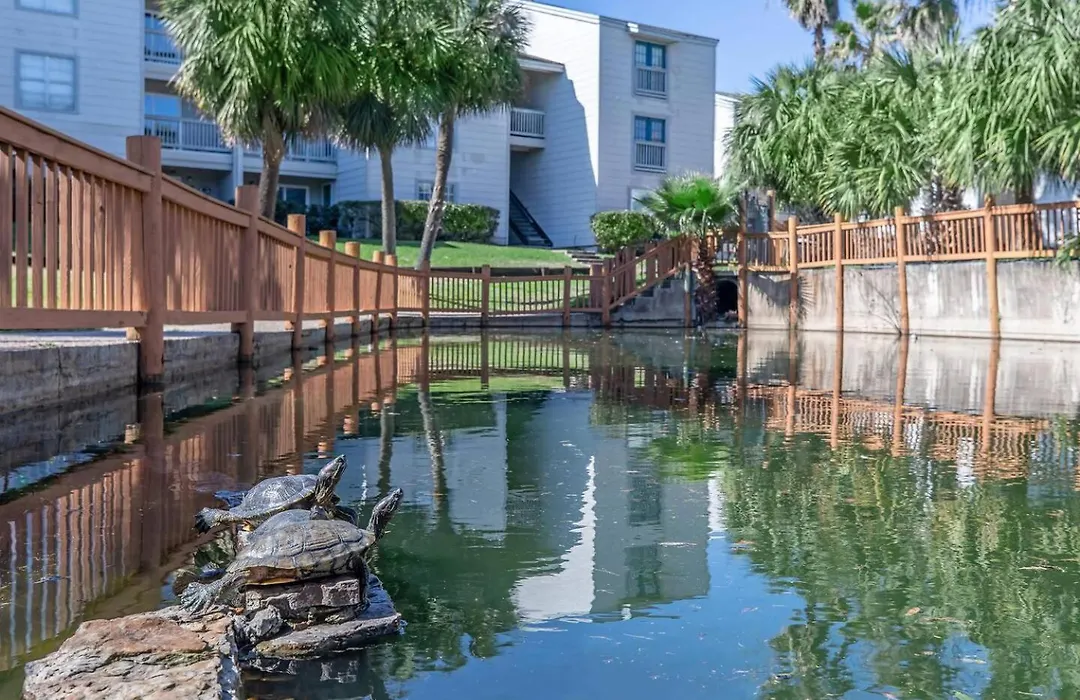 Bayview Retreat - Walk To Moody Gardens-1