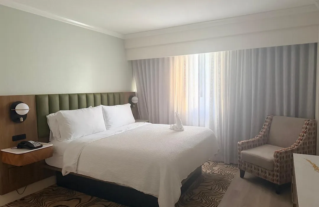 Holiday Inn Houston Downtown By Ihg-1