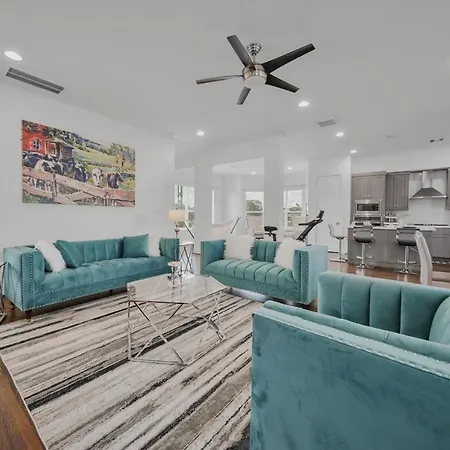 **Texas Medical Center ** Downtown ** Nrg ** Minute Maid ** Toyota Center-2