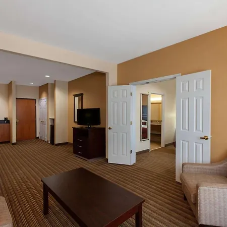 Wingate By Wyndham Houston / Willowbrook-2