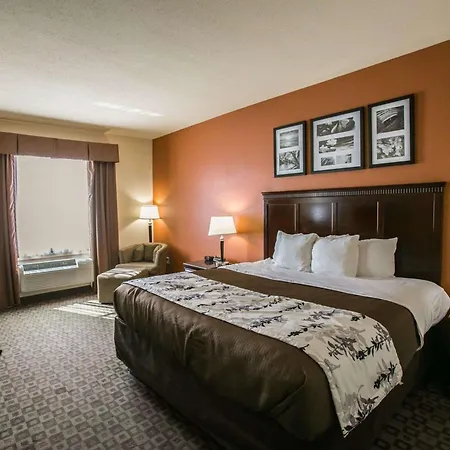 Sleep Inn & Suites Hwy 290-Nw Freeway-3