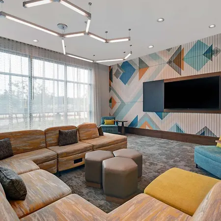 Hilton Garden Inn Houston Medical Center, Tx-3
