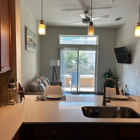 Distinct Houston Luxury Downtown-2