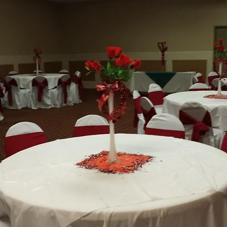 Romana Hotel - Houston Southwest-3