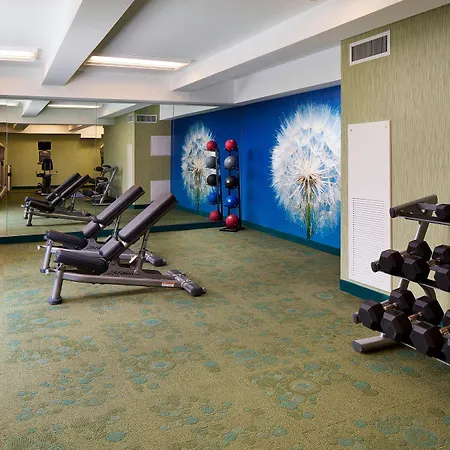 Springhill Suites By Marriott Houston Downtown/Convention Center-2