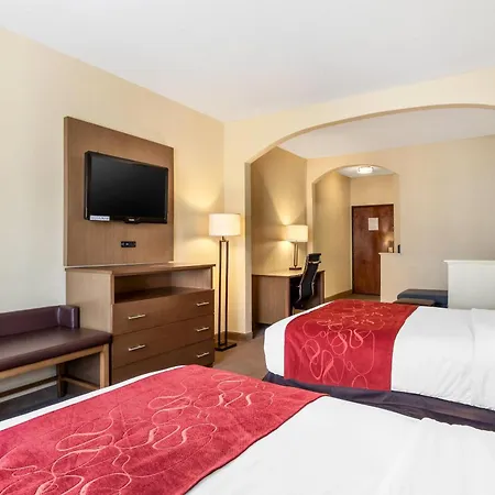 Comfort Suites Bush Intercontinental Airport-2