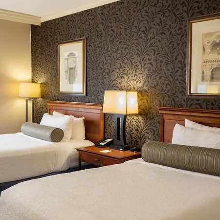 The Whitehall Houston-2