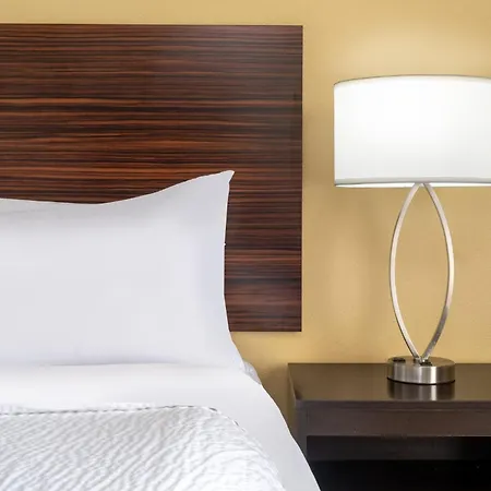 Garner Hotel Houston - Westheimer By Ihg-2