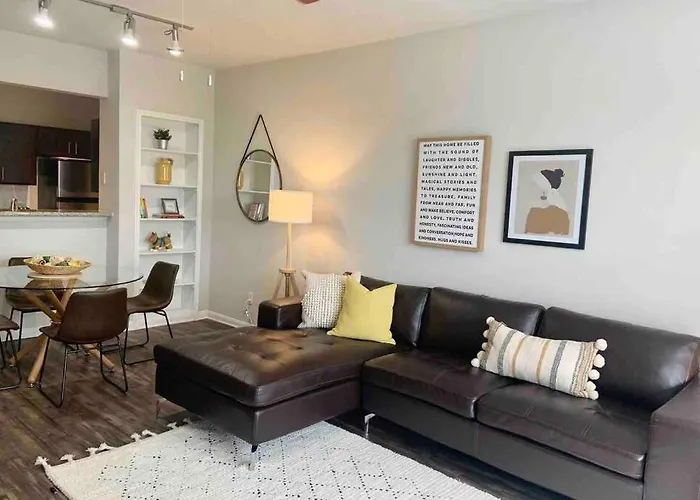 Newly Furnished 1Br Apartment W/ Hermann Park View Houston