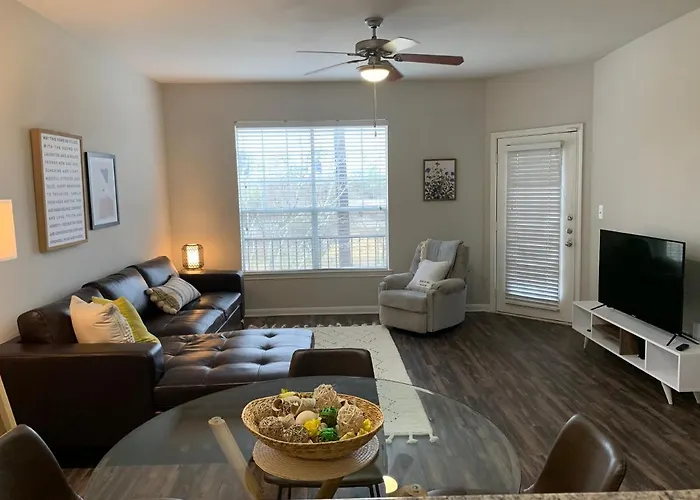 Newly Furnished 1Br Apartment W/ Hermann Park View Houston