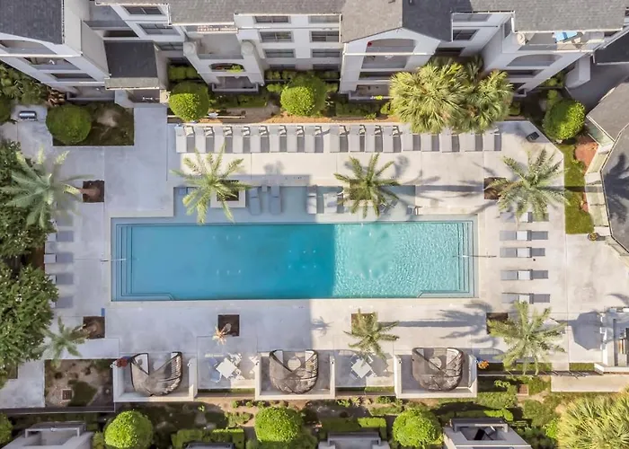 The Sunshine Oasis Near Rice Village In Houston!