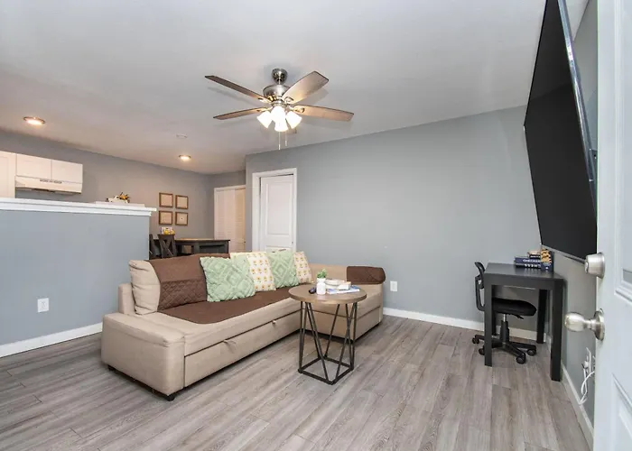 Htx Spacious Apt I Parking I Near Dtown I Nrg Houston