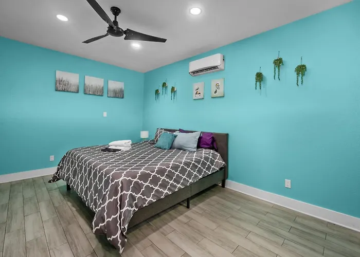 Cute And Cozy Studio Near Galleria Houston