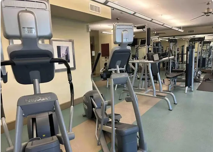 Belle Maison Near Medical Center Nrg Stadium Houston