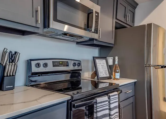 1 Bedroom 1 Ba Luxury - Museum District & Downtown Htx Houston