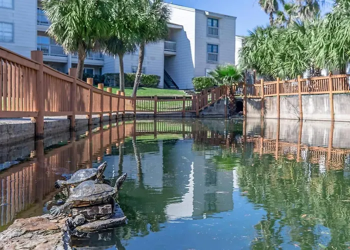 Bayview Retreat - Walk To Moody Gardens Apartment Houston