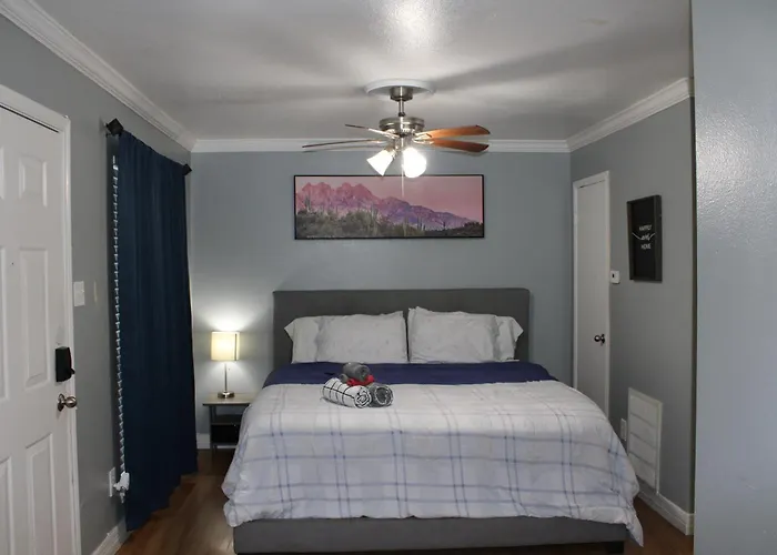 Blue Shark *E10* @ Midtown Vibrant King Studio Houston