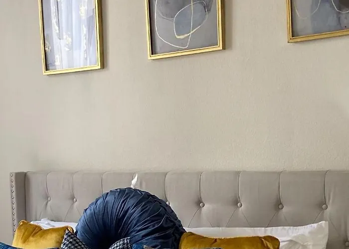 Distinct Houston Luxury Downtown Apartment