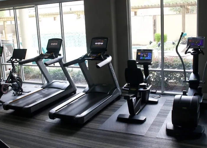 Luxury Skyline Escape French Touch Near Galleria Houston