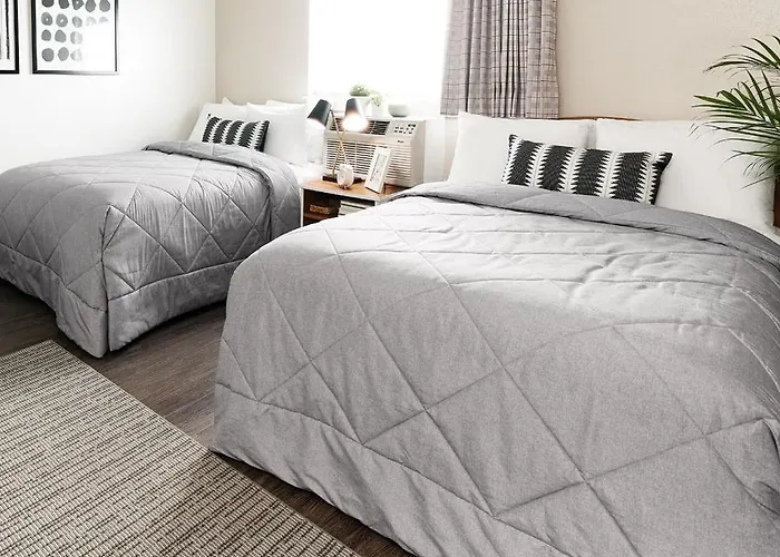 Intown Suites Extended Stay Houston Tx - West Oak
