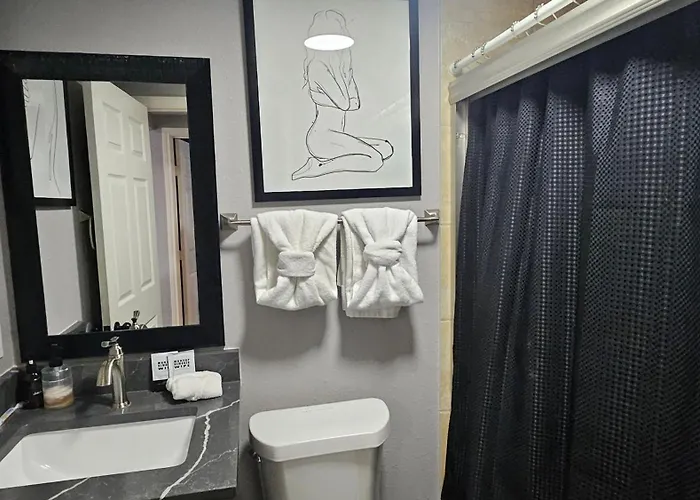 Super Cozy 2 Bedroom With Fast Wifi And Queen Bed Close To Downtown Houston!!