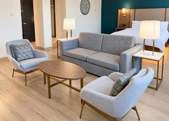 Holiday Inn Houston S - Nrg Area - Med Ctr By Ihg