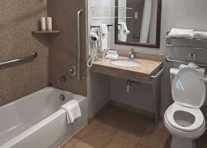 Mainstay Suites Texas Medical Center-Reliant Park Houston