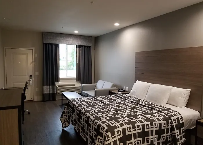 Palace Inn Blue Tomball Parkway Houston